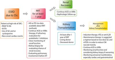 Kidney transplantation in systemic sclerosis: Advances in graft, disease, and patient outcome